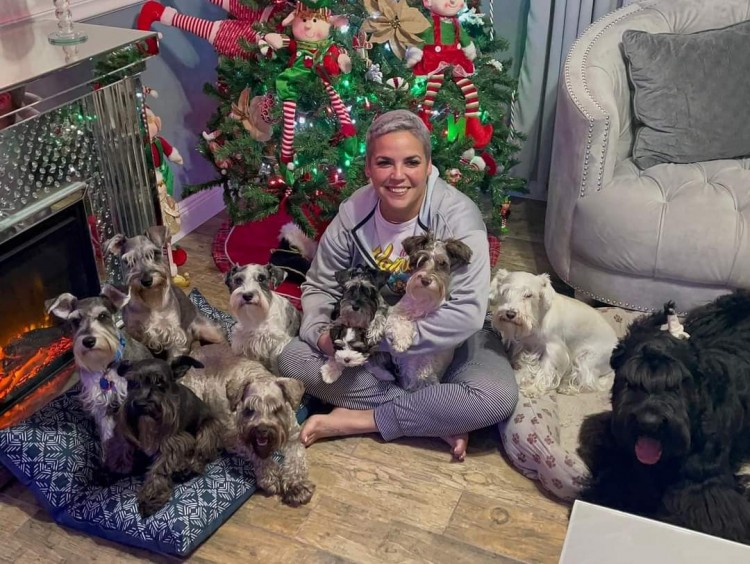 Our family of schnauzers